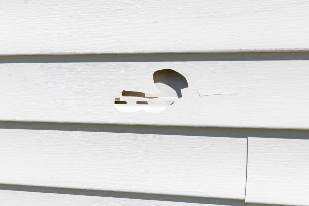 How To Choose The Right Materials for Your Siding Installation in 'Wedgefield, SC