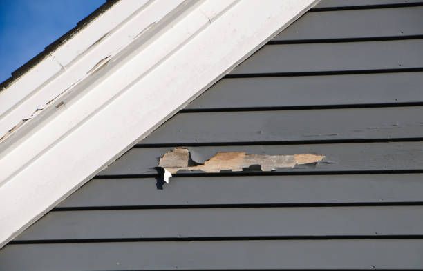 Best Fascia and Soffit Installation  in Wedgefield, SC